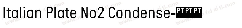 Italian Plate No2 Condense字体转换